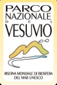 Incendio sul Vesuvio del 2017 - 1
