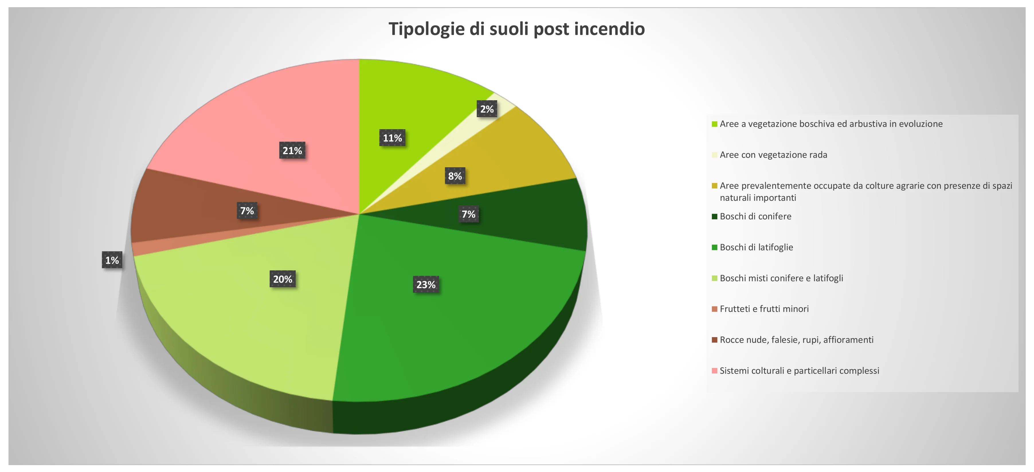 Incendio sul Vesuvio del 2017 - 3